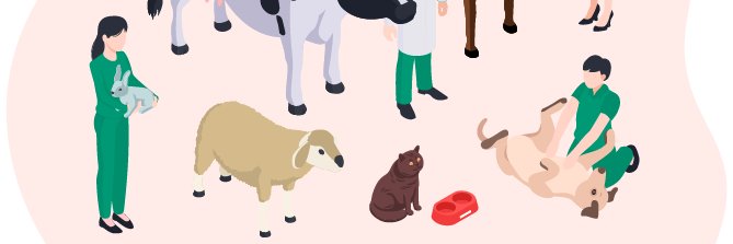 vetport's profile banner image