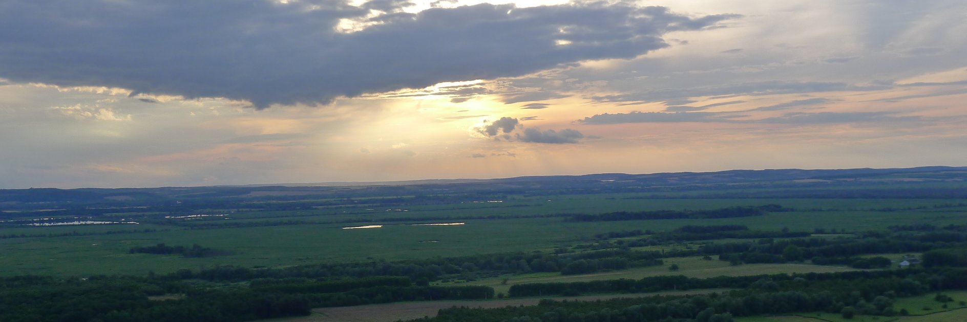 Dan Ambrus banner