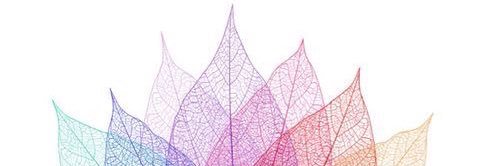caarmenn1's profile banner image