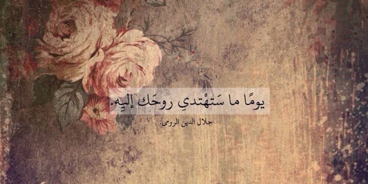 amelabudief's profile banner image