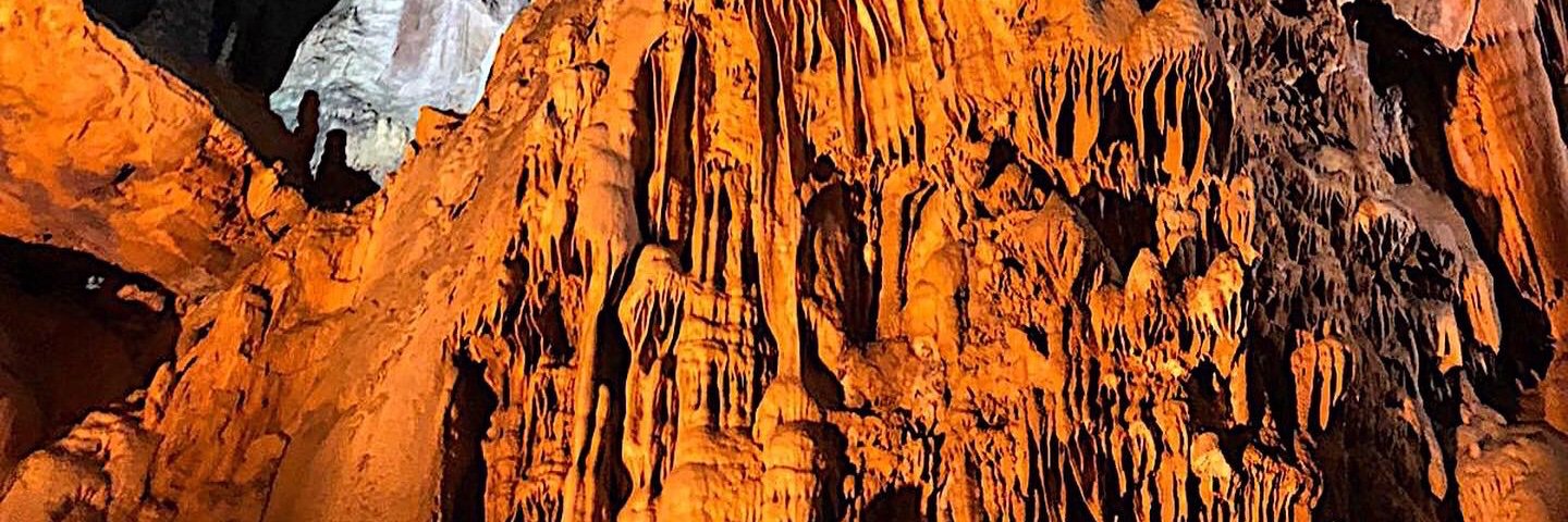SwellSarah's profile banner image