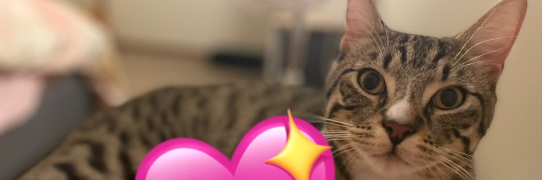 Melijoyx's profile banner image