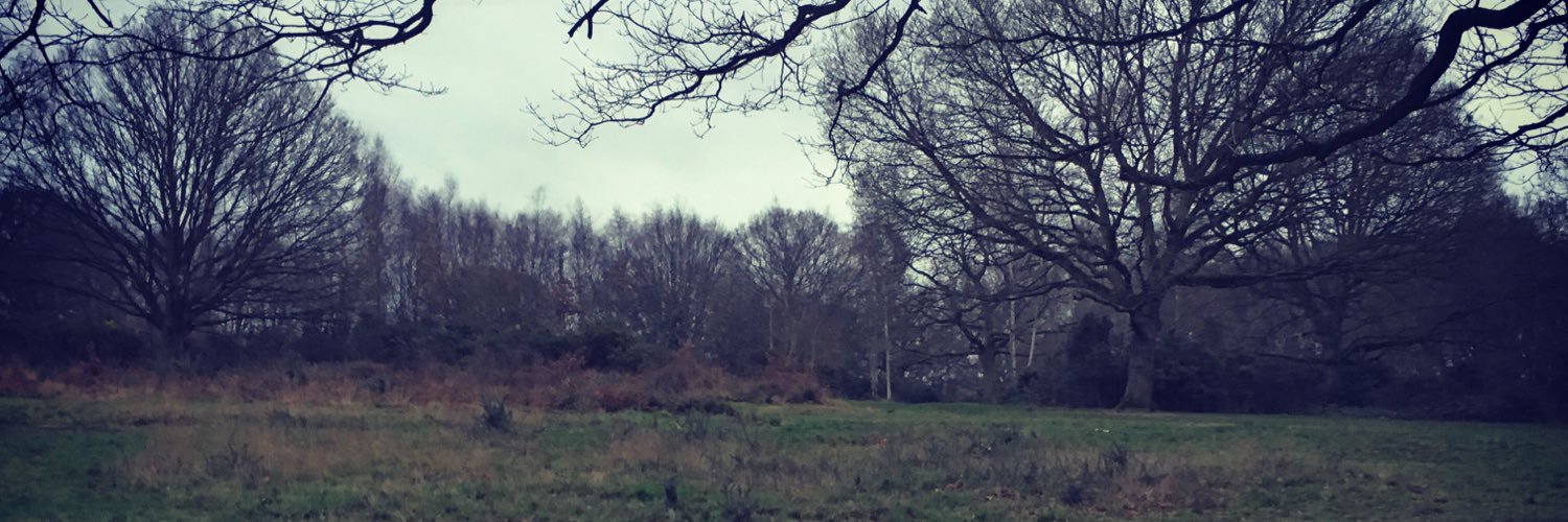 dannyanewson's profile banner image