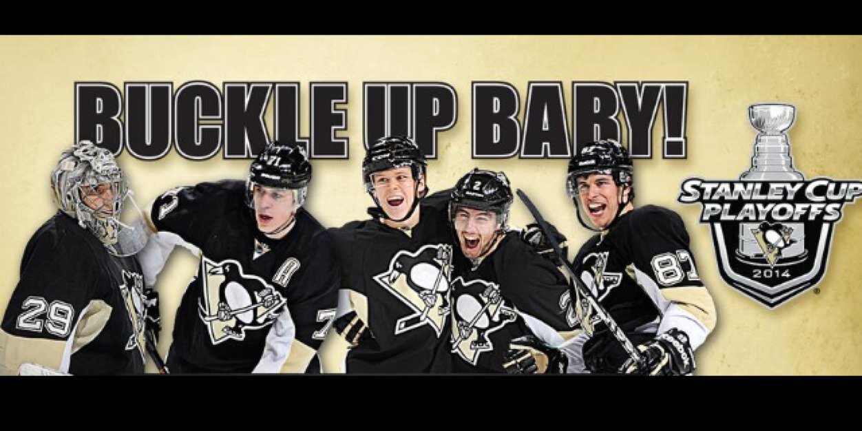 shanebird01's profile banner image