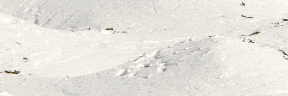 Jennifer Heil banner