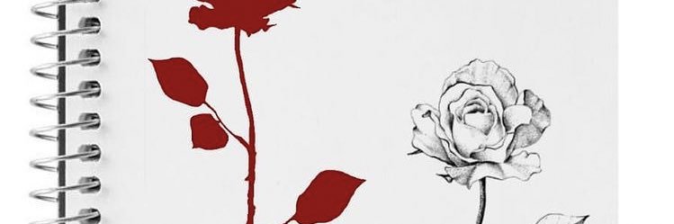 _alinetheodoro's profile banner image