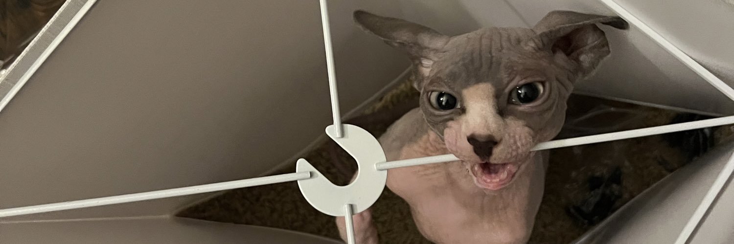 MadisonKobe's profile banner image