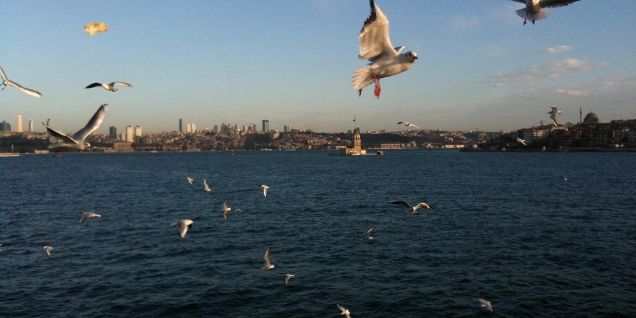 extrasmaltrader's profile banner image