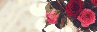 El6hrr's profile banner image