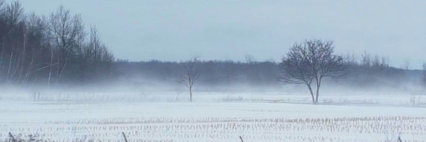 EdithM1968's profile banner image
