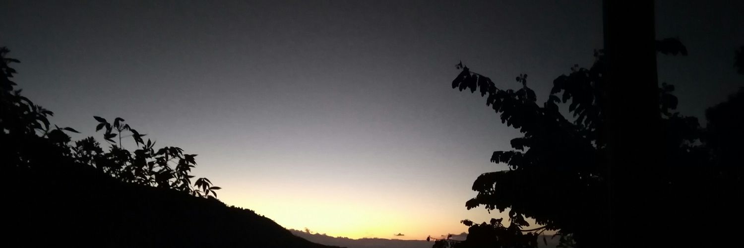 paulaB_016's profile banner image