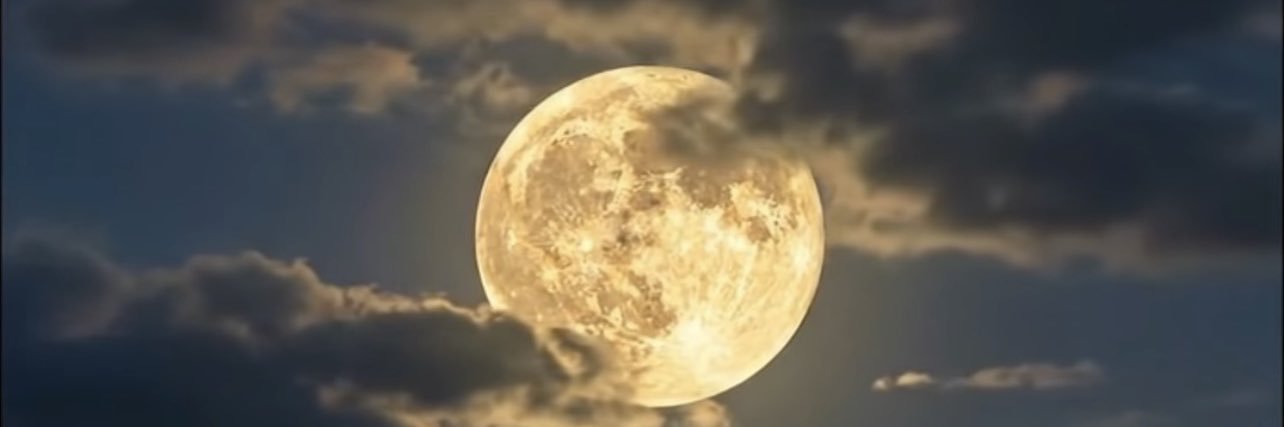DixieDarling6's profile banner image