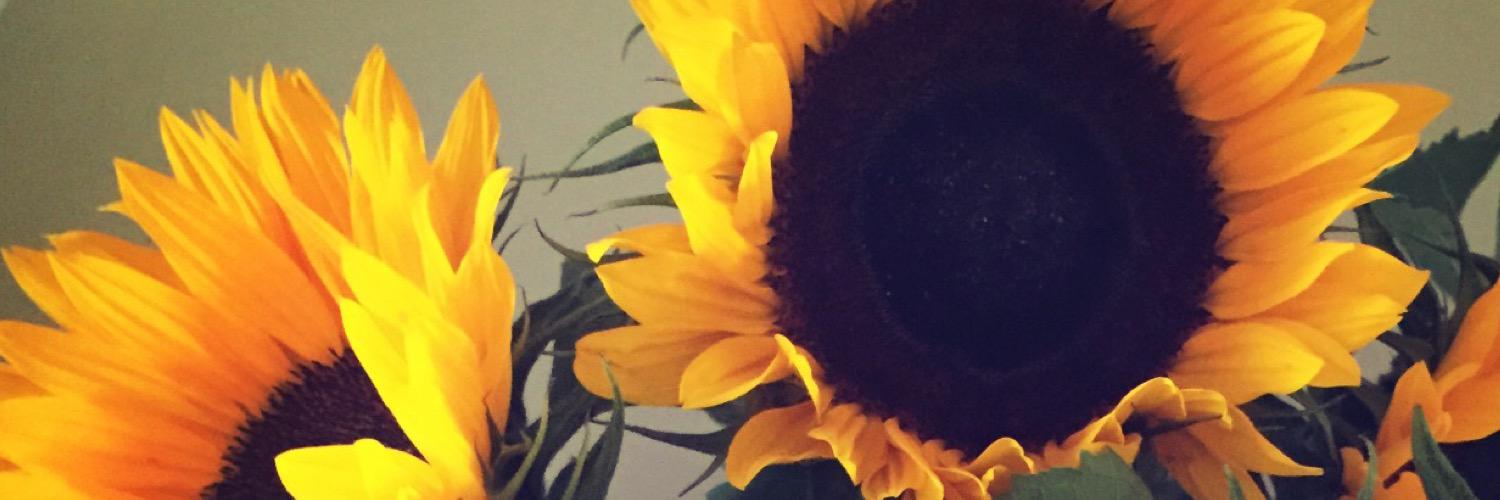 janettabarrett's profile banner image