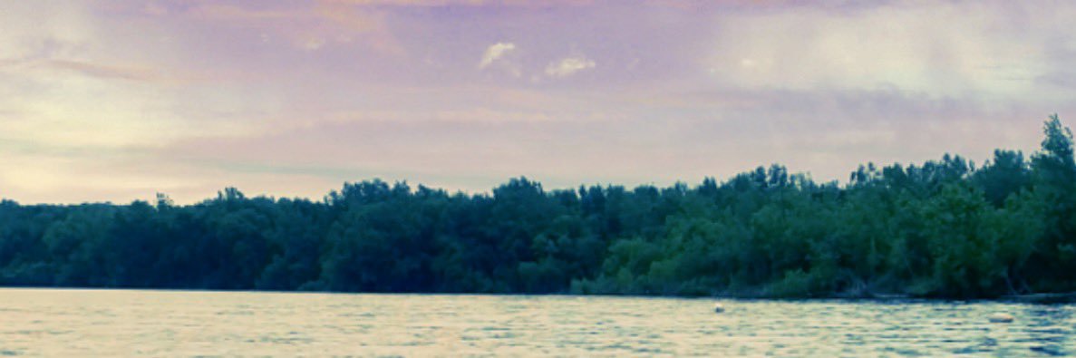 alejandra banner