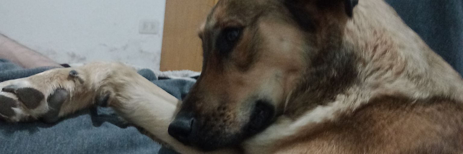 jan3dujo's profile banner image