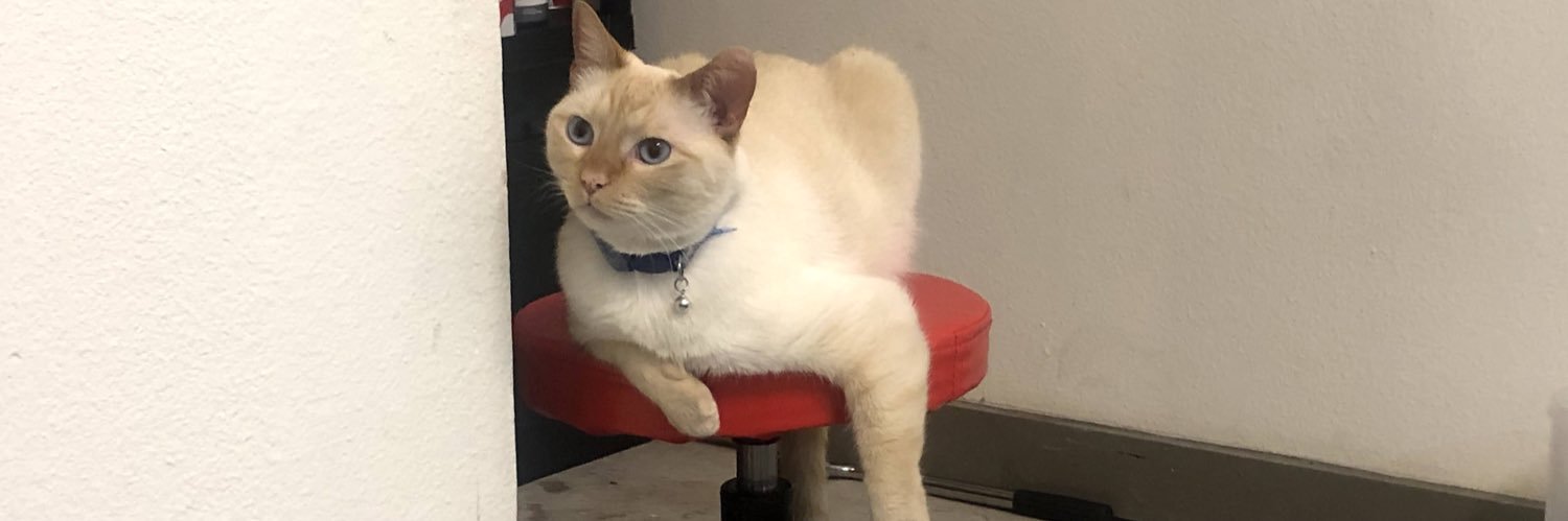 ShyNotCheyy_'s profile banner image