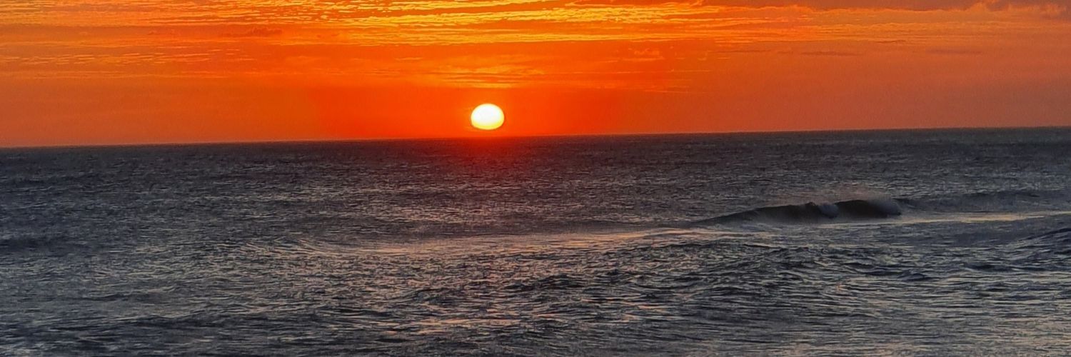 Tybono's profile banner image