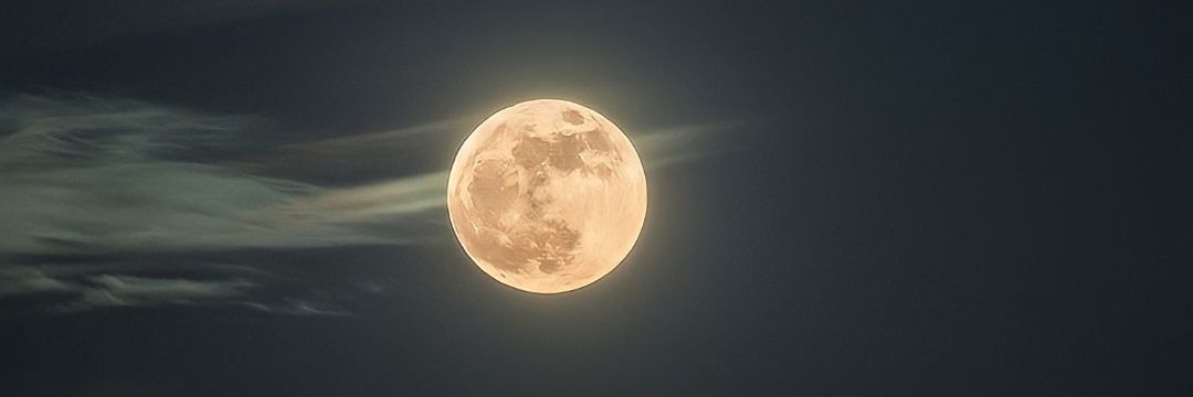Luke_Morley's profile banner image