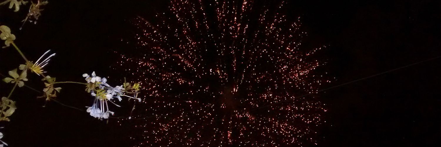 cronopiolucia's profile banner image