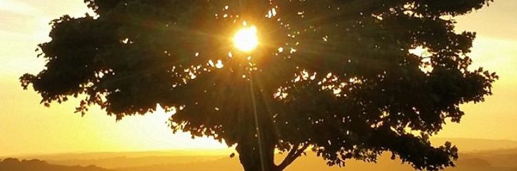 grigg_group's profile banner image