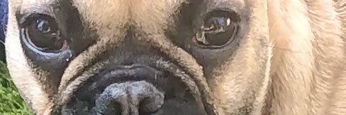 Kate18880287's profile banner image