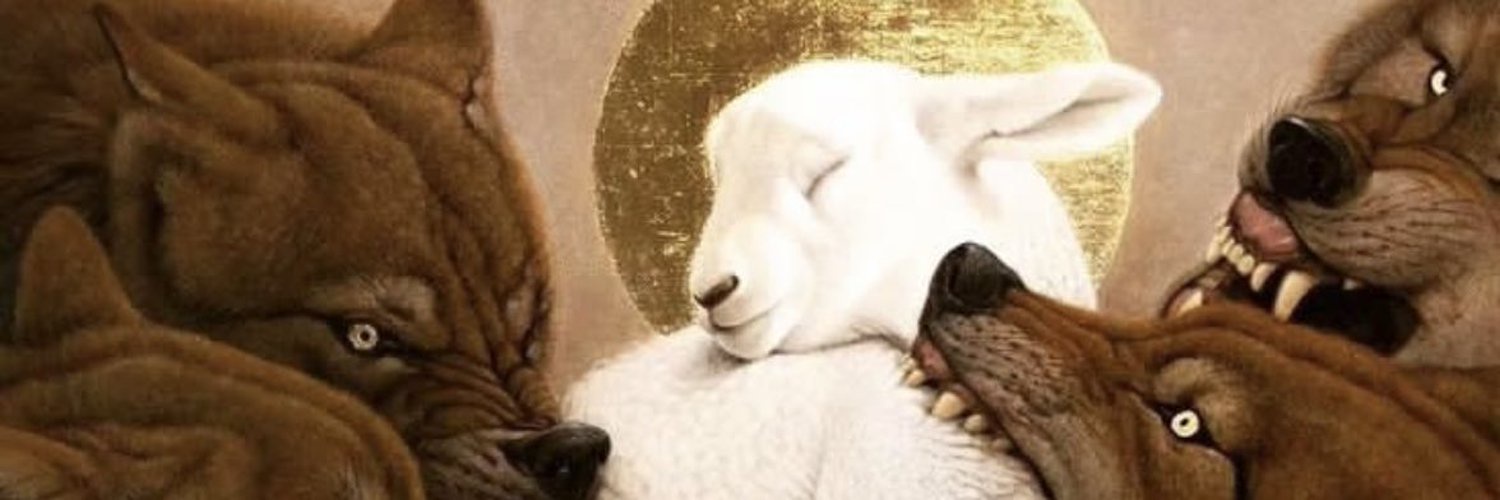 noetikon's profile banner image