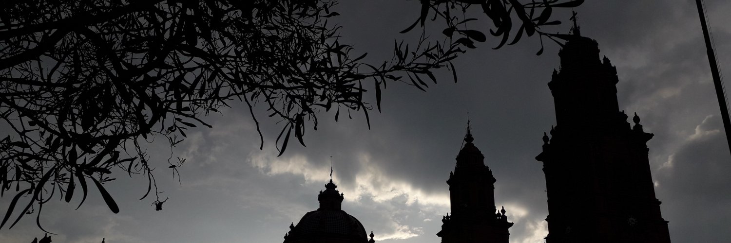 coni_va_'s profile banner image