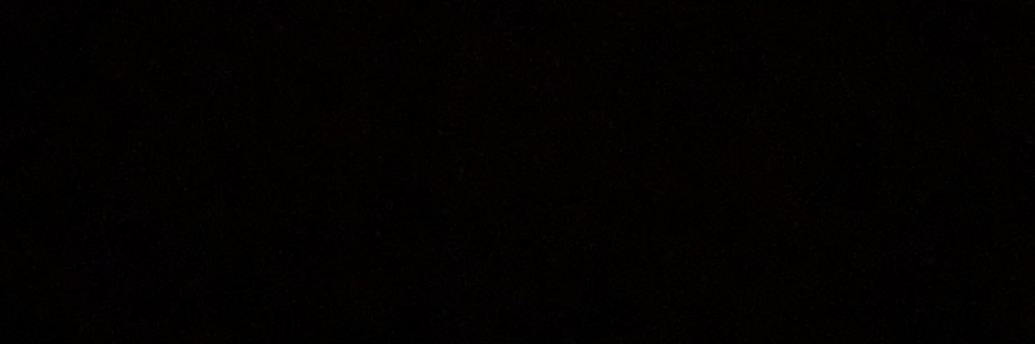 Priscilla1291's profile banner image