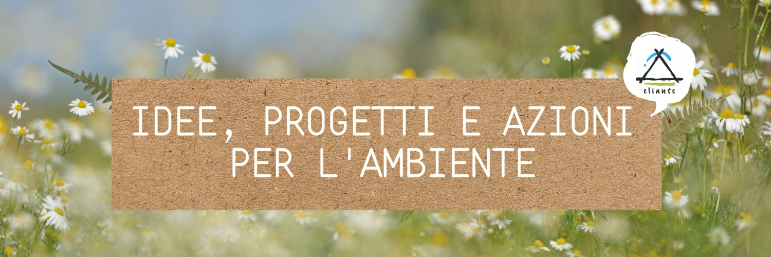 ElianteMilano's profile banner image