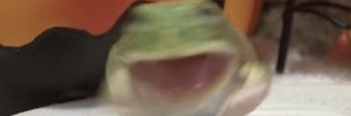 froyolivia's profile banner image