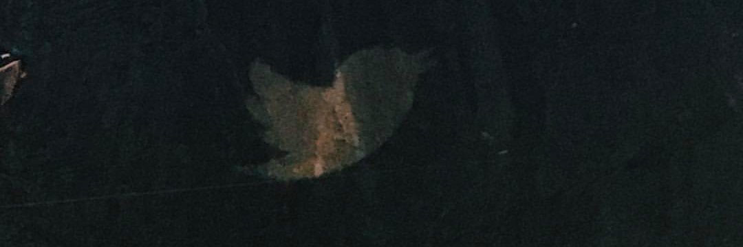 hbaruselli's profile banner image