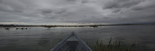 sahamedin Profile Banner