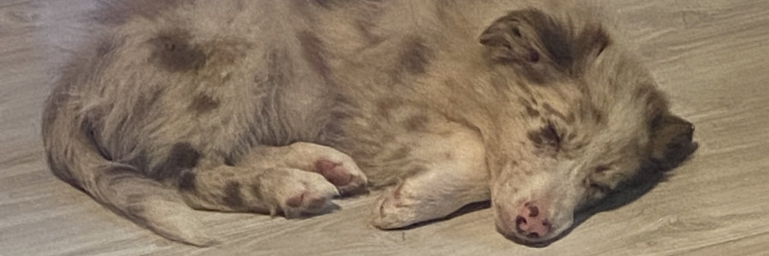 CDMitch6's profile banner image