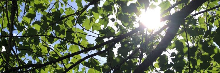 dnmilner78's profile banner image