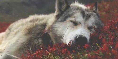 Laura_RiosG's profile banner image