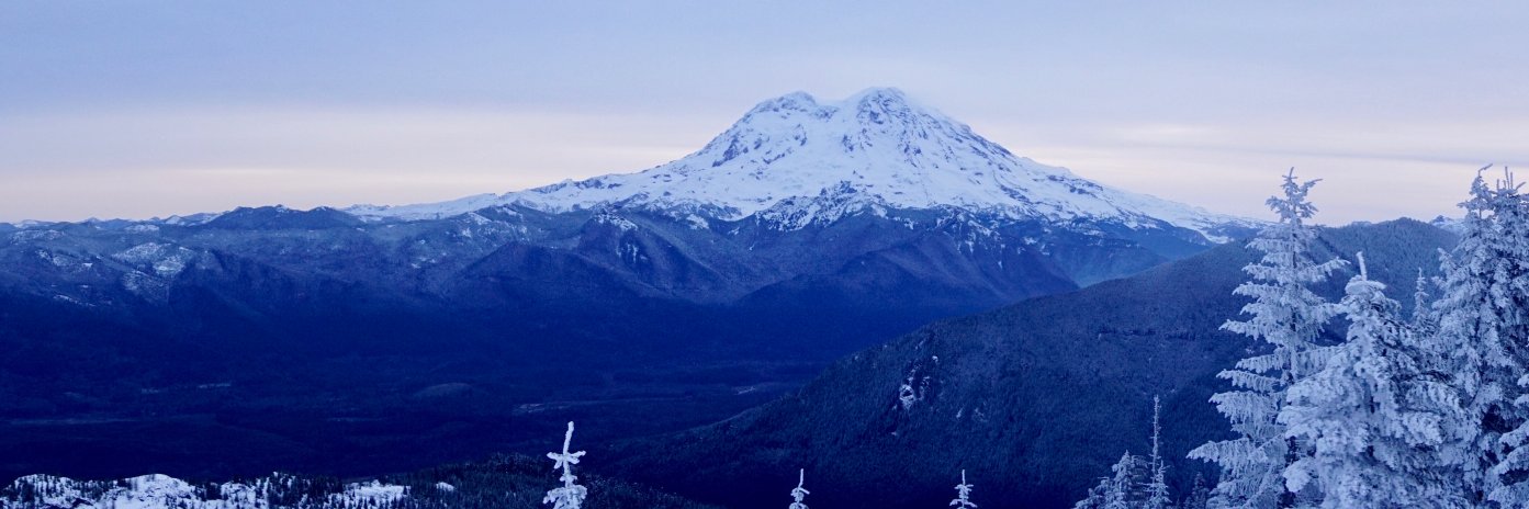 Lauren Saunders banner