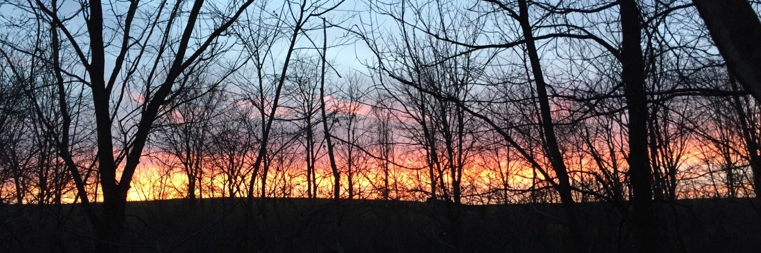 JaredBushman's profile banner image