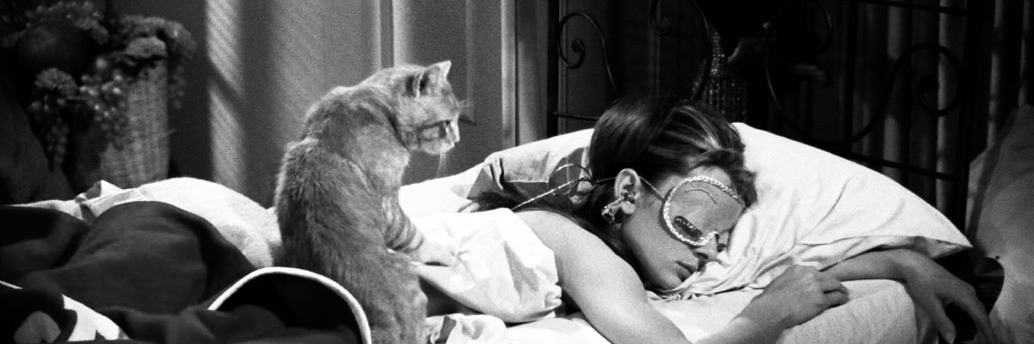 Caroline Pierce banner