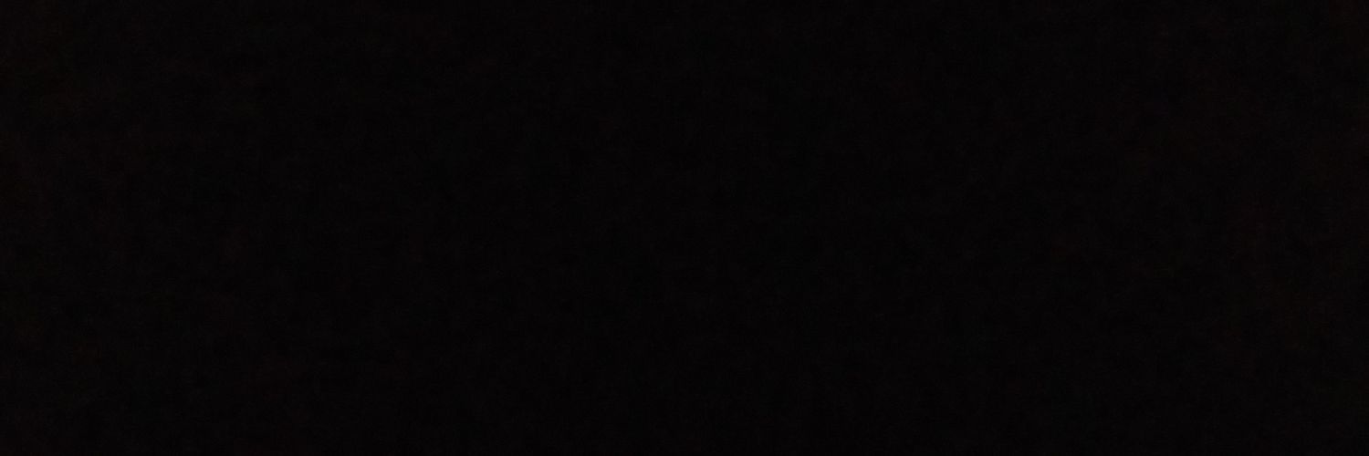 singthisyear's profile banner image