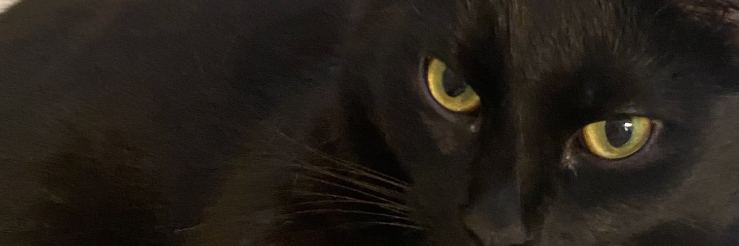 HannahDelReyyy's profile banner image