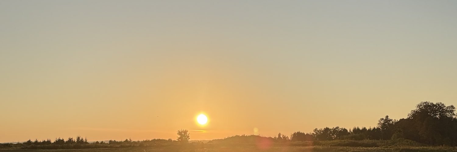 asapblunts's profile banner image