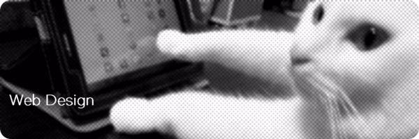 ad_create's profile banner image