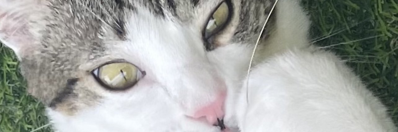 Danisan91's profile banner image