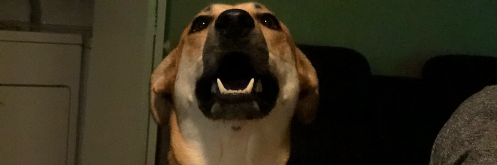 UltraObi's profile banner image