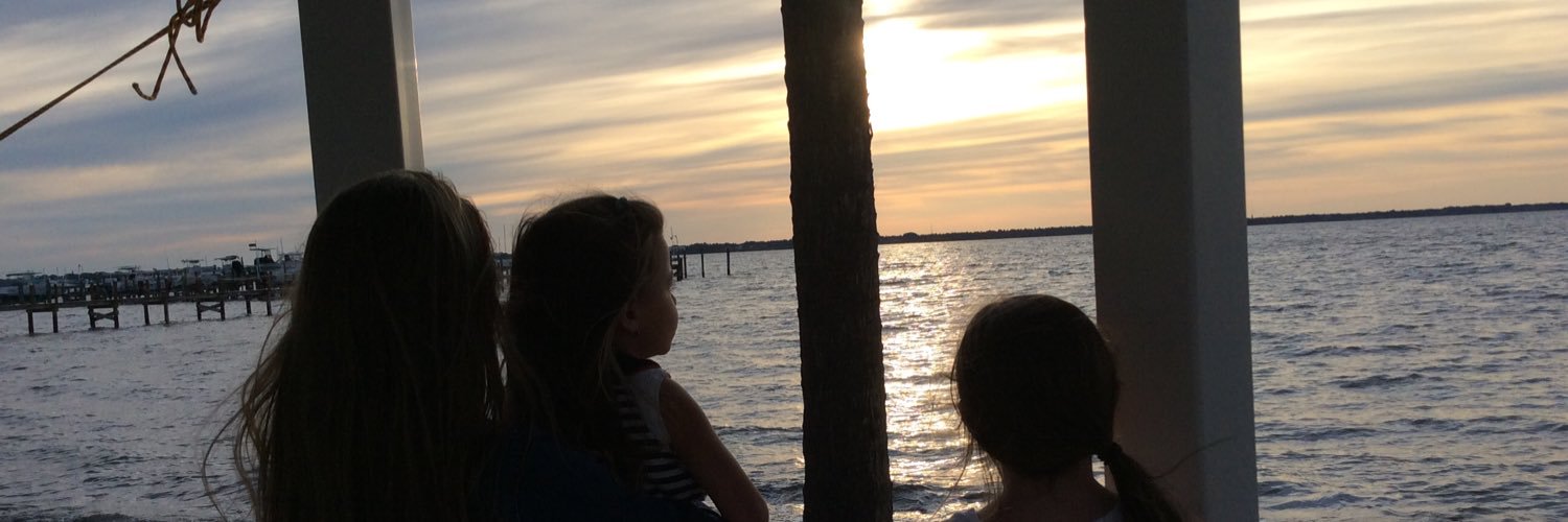 profScardino's profile banner image