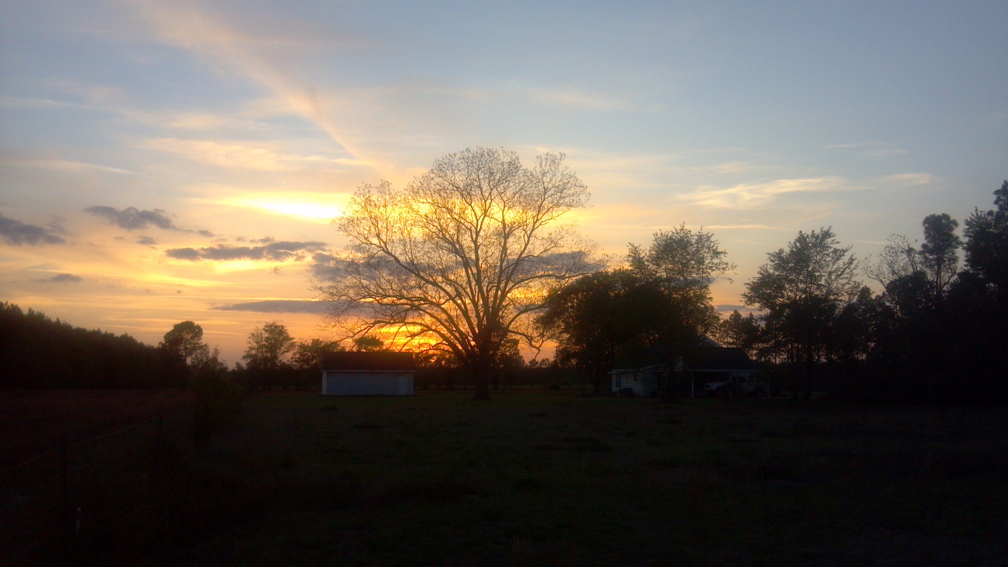 J Allen Harris banner