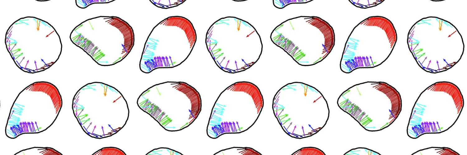 Thorsten Auth banner