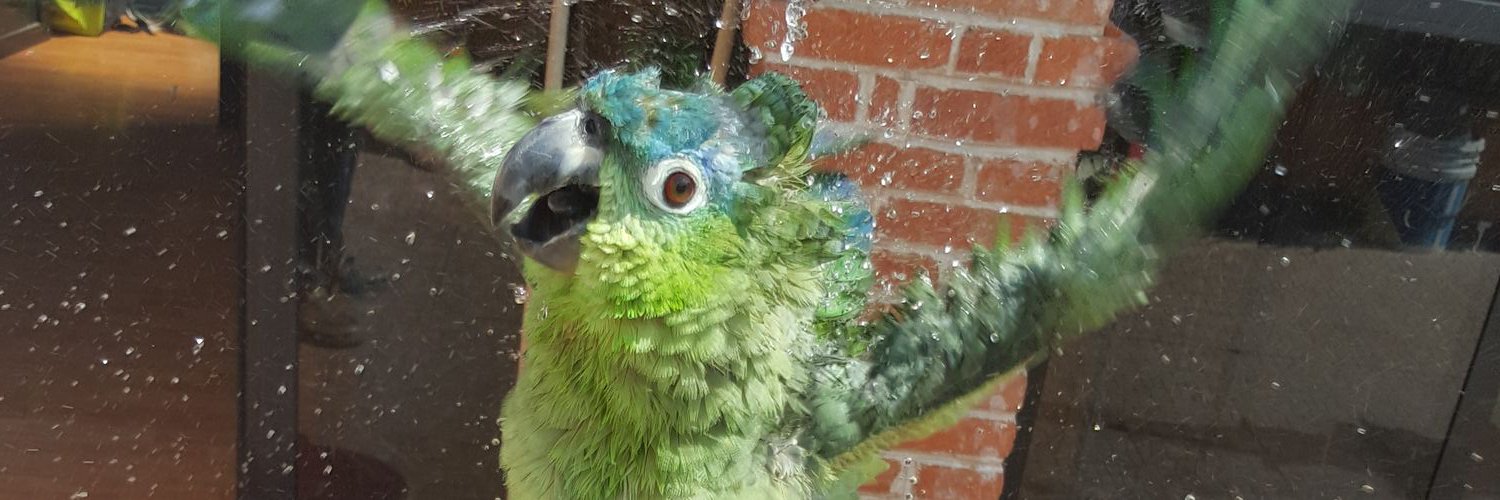 ChuchoChispa's profile banner image