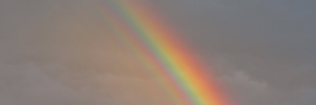 Alfi_BoHo's profile banner image