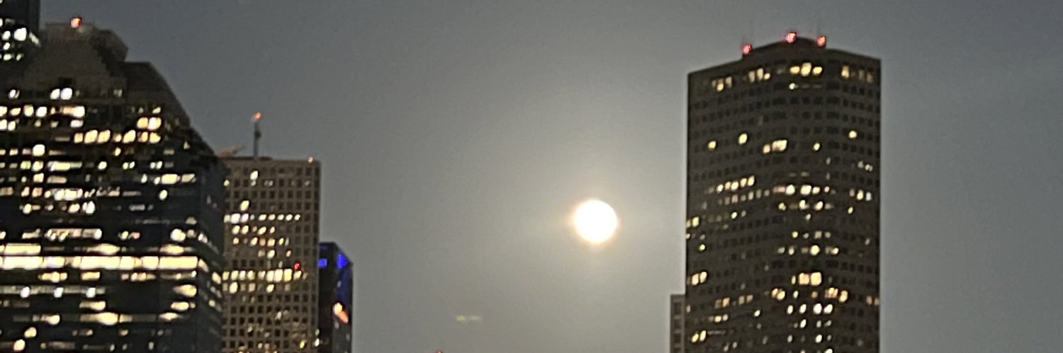 puentesleon's profile banner image